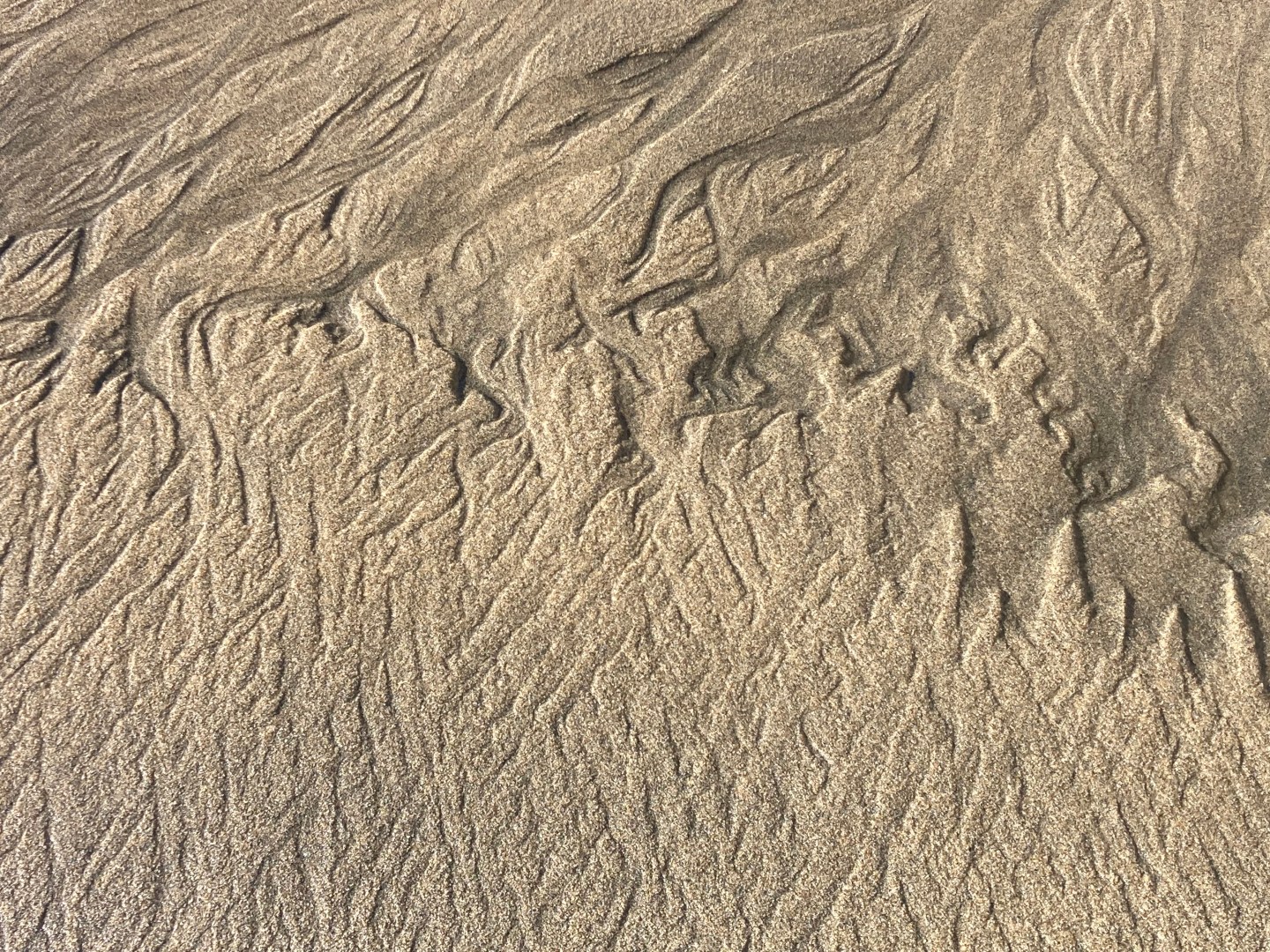 Geomorphography: Bedform – Cal Geographic