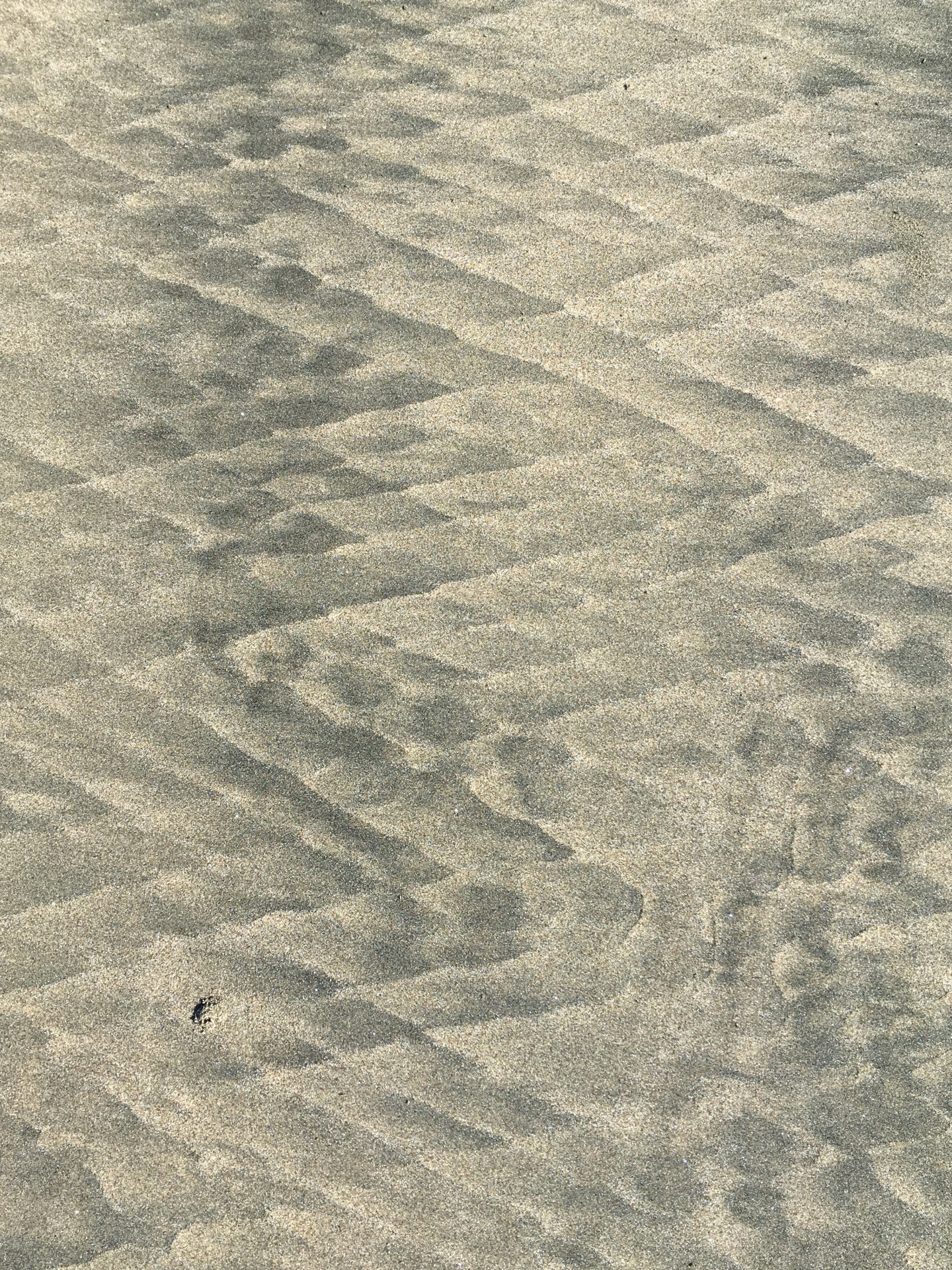 Geomorphography: Bedform – Cal Geographic